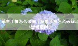 苹果手机怎么破解（苹果手机怎么破解wifi密码蹭网）