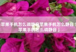 苹果手机怎么调静音苹果手机怎么静音「苹果手机怎么调静音」