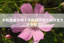 手机键是字母（手机键字母如何改变大小字体）