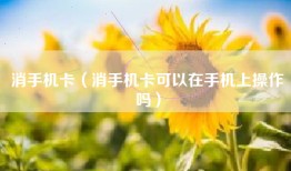 消手机卡（消手机卡可以在手机上操作吗）