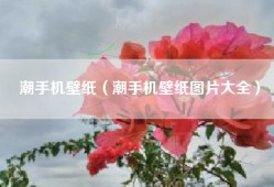 潮手机壁纸（潮手机壁纸图片大全）