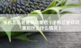 手机怎么老是自动重启（手机总是自动重启什么什么情况）