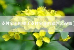 支付宝手机锁（支付宝手机锁怎么设置）