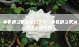 手机数据恢复精灵下载（手机数据恢复精灵下载官网）