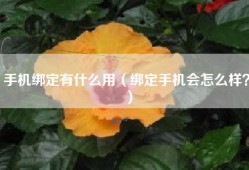 手机绑定有什么用（绑定手机会怎么样？）