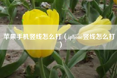 苹果手机竖线怎么打（iphone竖线怎么打）